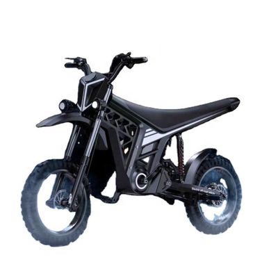 60V 20Ah Frontale e posteriore freno a disco Citycoco Scooter elettrico Off Road Motocicletta elettrica